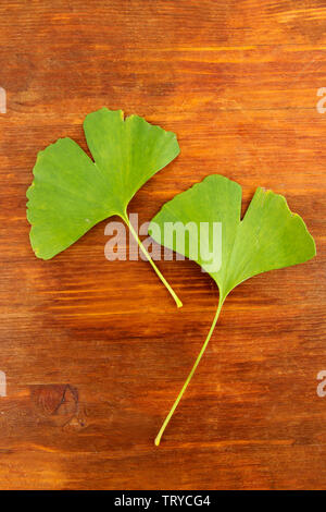 Ginkgo Biloba Blätter auf Holz- Hintergrund Stockfoto