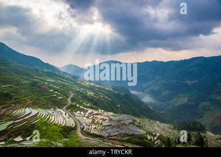 Den Sonnenaufgang der Terrassen in der südöstlichen Provinz Guizhou, die Sonne durch die Wolken und glänzt auf den Terrassen. Stockfoto
