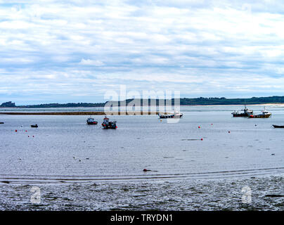 Fischerboote vor Holy Island in einer geschützten Bucht mit Bamburgh Castle im Hintergrund festgemacht Northumberland England Vereinigtes Königreich Großbritannien Stockfoto