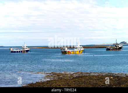 Fischerboote vor Holy Island in einer geschützten Bucht mit Bamburgh Castle im Hintergrund festgemacht Northumberland England Vereinigtes Königreich Großbritannien Stockfoto