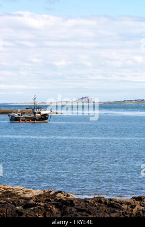 Fischerboot vor Holy Island in einer geschützten Bucht mit Bamburgh Castle im Hintergrund Northumberland England Großbritannien Stockfoto