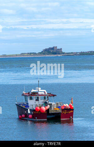 Fischerboot vor Holy Island in einer geschützten Bucht mit Bamburgh Castle im Hintergrund Northumberland England Großbritannien Stockfoto