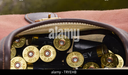 Shotgun Patronen oder Muscheln in einem braunen Leder tasche Kassette bereit Tontaubenschießen zu gehen Stockfoto