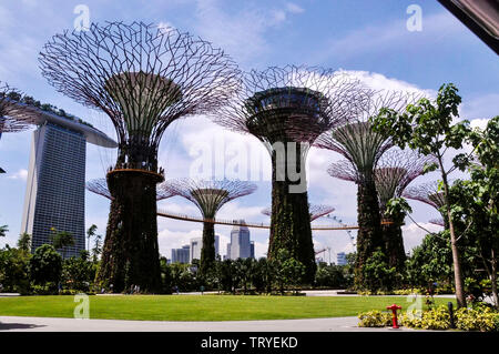 Singapur, 4. Oktober 2015. Die Supertree Grove an Gärten an der Bucht. Stockfoto