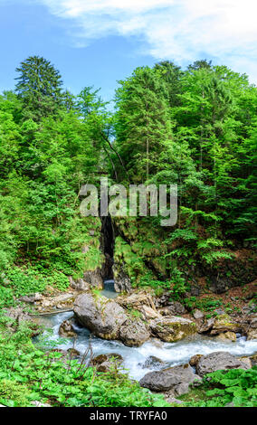 Imposante Kaskade des kleinen Flusses dietersbachtal im Hölltobel in der Nähe von Oberstdorf. Stockfoto