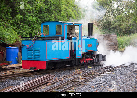 Die kleine Pale Blue Steam Railway Engine Bunty auf der Heatherslaw Mill Light Railway in der Nähe von Northumberland England Großbritannien Stockfoto