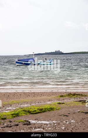 Der Fishing Coble Supreme II Schleppen eines Ruderbootes mit Dunstanburgh Castle auf Annäherung an Beadnell Harbor Northumberland England Vereinigtes Königreich Großbritannien Stockfoto