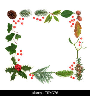 Winter und Flora & Fauna mit Losen roten Stechpalme Beeren bilden ein Quadrat auf weißem Hintergrund Grenze. Traditionelle natürliche Symbole für die Wintersaison. Stockfoto