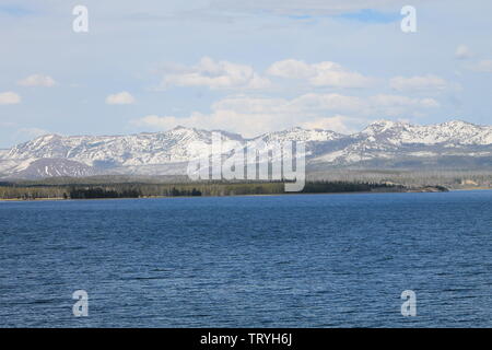 Yellowstone-Nationalpark Stockfoto