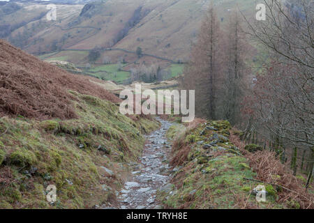 Einen leeren Pfad absteigend Watendlath, einem Weiler im Lake District, und Borrowdale. Stockfoto