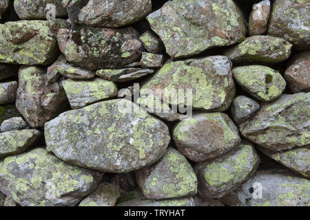 Flechten auf trockenmauern Wand im Lake District, England Stockfoto