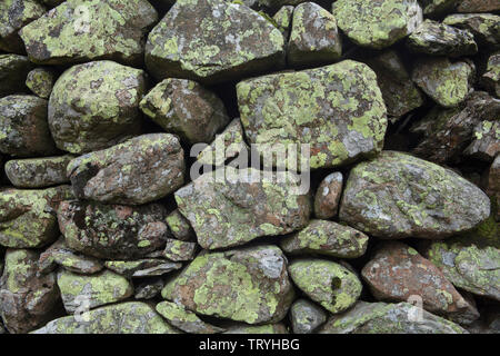 Flechten auf trockenmauern Wand im Lake District, England Stockfoto