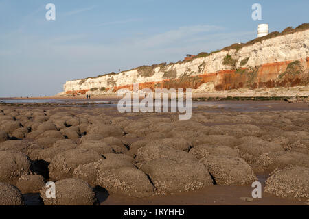 Hunstanton Klippen an der Küste von Norfolk in England, eine biologische und geologische SSSI Stockfoto