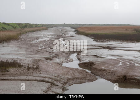 Wattenmeer in der Gezeiten Marsh bei der RSPB Nature Reserve an titchwell Marsh auf die Küste von Norfolk in England Stockfoto