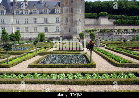 Der Gemüsegarten im Chateau Villandry Stockfoto