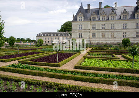 Der Gemüsegarten im Chateau Villandry Stockfoto