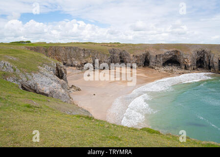 Zerklüftete Küstenlandschaft in der Nähe der breiten Oase in Pembrokeshire, Wales Stockfoto