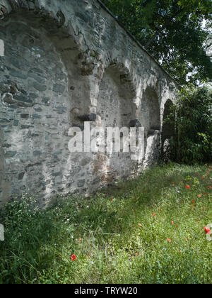 Ein Teil der Stadtmauer von Andernach, Deutschland mit Bäumen und Gras mit Mohn vor Stockfoto