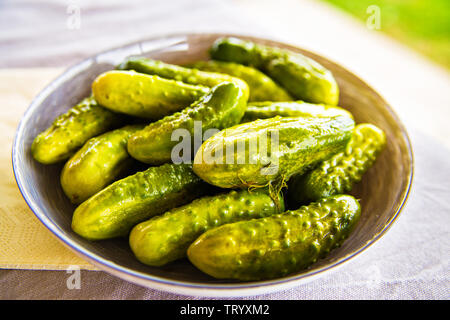 Gewürzgurken mit Kräutern und Gewürzen auf weiße Platte. Hausgemachte marinade Gurken mit Gewürzen Stockfoto