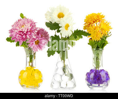Schönen Blumen in Vasen mit hydrogel isoliert auf weißem Stockfoto