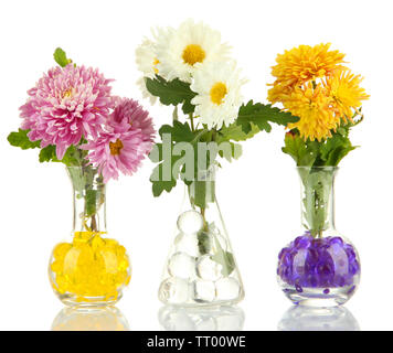 Schönen Blumen in Vasen mit hydrogel isoliert auf weißem Stockfoto