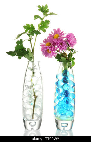 Schönen Blumen in Vasen mit hydrogel isoliert auf weißem Stockfoto