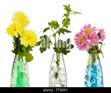 Schönen Blumen in Vasen mit hydrogel isoliert auf weißem Stockfoto