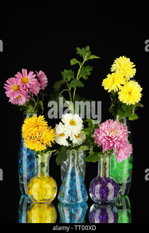 Schönen Blumen in Vasen mit hydrogel isoliert auf Schwarz Stockfoto