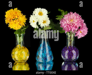 Schönen Blumen in Vasen mit hydrogel isoliert auf Schwarz Stockfoto