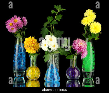 Schönen Blumen in Vasen mit hydrogel isoliert auf Schwarz Stockfoto
