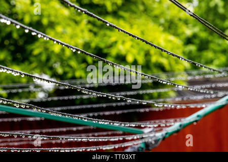 Reihen von Wassertropfen auf eine Wäscheleine nach dem Regen gesehen. Stockfoto