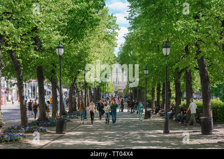 Sommer in Oslo, Blick auf einen sonnigen Tag auf die von Bäumen gesäumte Allee, die sich über das Karl Johans Gate im Zentrum von Oslo, Norwegen, befindet. Stockfoto