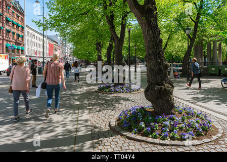 Der Karl Johans Gate, Oslo, Aussicht im Sommer von der Karl Johans Gate, mit einem Baum-gezeichnete Allee parallel dazu ausgeführt, das Zentrum der Stadt Oslo, Norwegen. Stockfoto