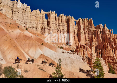 Bryce Canyon National Park, Peekaboo Trail, Utah, USA, Nordamerika Stockfoto