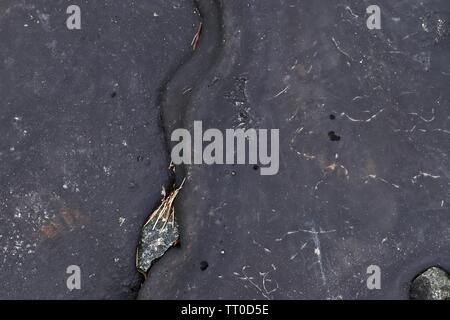 Nahaufnahme auf die Flüssigkeit zementestriche an der Küste der Nordsee gefunden Stockfoto