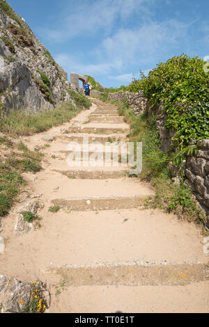 Pembrokeshire Coast Path, steilen Abschnitt mit den Schritten oben von Barafundle Bay Beach, Wales, Großbritannien Stockfoto