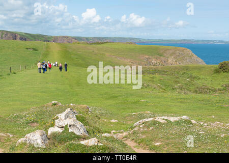 Familien Wandern entlang der Pembrokeshire Coast Path zwischen Barafundle Bucht und Aufbau Kai, Wales, Großbritannien Stockfoto