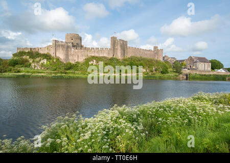 Pembroke Castle mit Sommer Wildblumen, Pembrokeshire, Wales Stockfoto