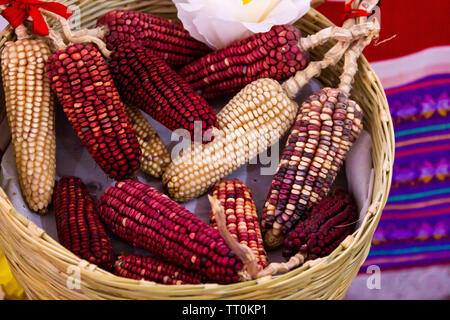 Ansicht von oben in einem Handgefertigten mexikanischen Korb mit verschiedenen Arten von Mais Mais, Rot, Gelb, Rosa, Mais, Mais Stockfoto