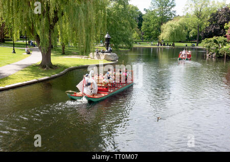 Swan Yachten in der Lagune an der Boston Public Garden Stockfoto