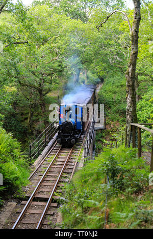 Eine Dampfmaschine mit der Bezeichnung 'Douglas' Überschreiten der Dolgoch Viadukt, Bryn - crug, auf der Talyllyn Railway, von Tywyn zu Nant Gwernol, Gwynedd, Wales, Stockfoto