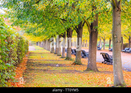 Von Bäumen gesäumten Avenue mit Bänken in das Regent's Park in London Stockfoto