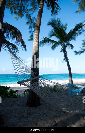 Fabric seilhängematte von Palmen in einem tropischen Strand ausgesetzt Stockfoto