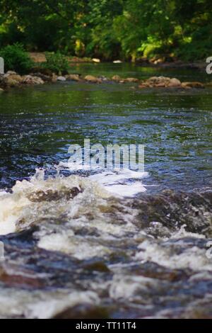 Stromschnellen entlang des Flusses Dart fließt durch Hembury Holz auf einem späten Sommer am Nachmittag. Buckfastleigh, Dartmoor, Devon, Großbritannien. Stockfoto