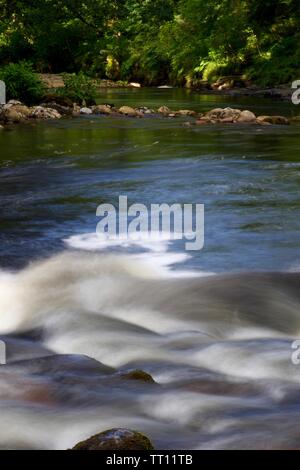 Stromschnellen entlang des Flusses Dart fließt durch Hembury Holz auf einem späten Sommer am Nachmittag. Buckfastleigh, Dartmoor, Devon, Großbritannien. Stockfoto