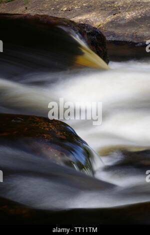 Stromschnellen entlang des Flusses Dart fließt durch Hembury Holz auf einem späten Sommer am Nachmittag. Buckfastleigh, Dartmoor, Devon, Großbritannien. Stockfoto