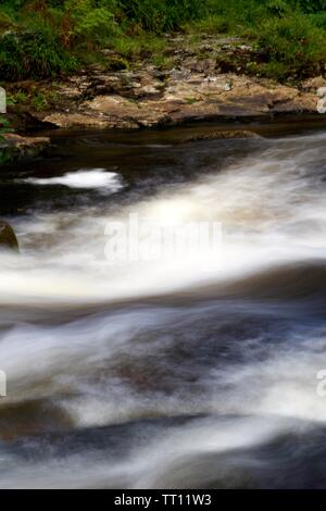 Stromschnellen entlang des Flusses Dart fließt durch Hembury Holz auf einem späten Sommer am Nachmittag. Buckfastleigh, Dartmoor, Devon, Großbritannien. Stockfoto