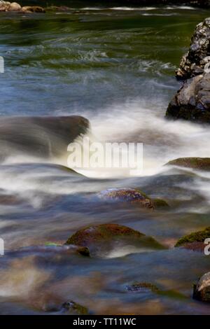 Stromschnellen entlang des Flusses Dart fließt durch Hembury Holz auf einem späten Sommer am Nachmittag. Buckfastleigh, Dartmoor, Devon, Großbritannien. Stockfoto