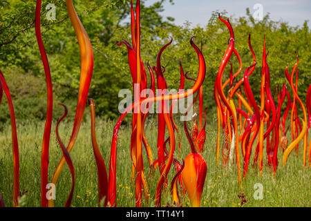 Ein Dale Chihuly Glas Montage in Kew Gardens, Richmond Stockfoto