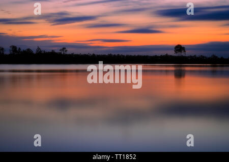 Sonnenuntergang über Kiefer Lichtungen See in den Everglades National Park. Stockfoto